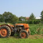 Gospodarstwo agroturystyczne Fattoria Delle Rose