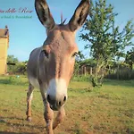 Fattoria Delle Rose Gospodarstwo agroturystyczne