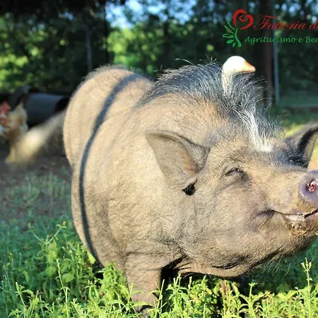Fattoria Delle Rose * Salussola
