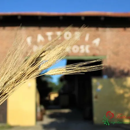 Fattoria Delle Rose Salussola