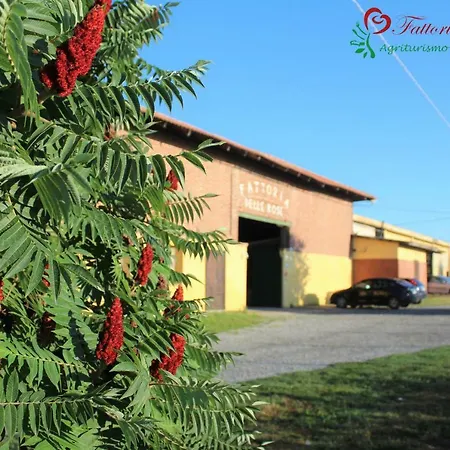 Fattoria Delle Rose *