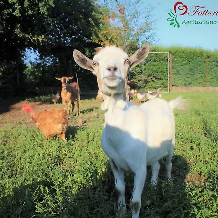 Fattoria Delle Rose Farmház Salussola