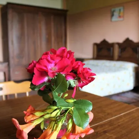 Fattoria Delle Rose
