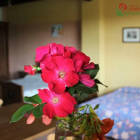 Fattoria Delle Rose Salussola