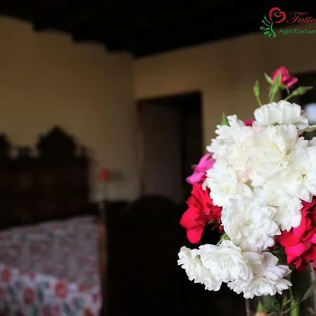 Fattoria Delle Rose Farmház *