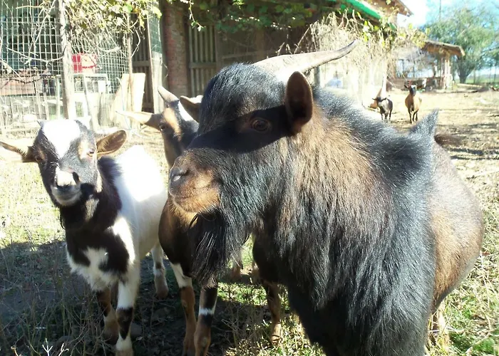 Fattoria Delle Rose Alojamento de Turismo Rural