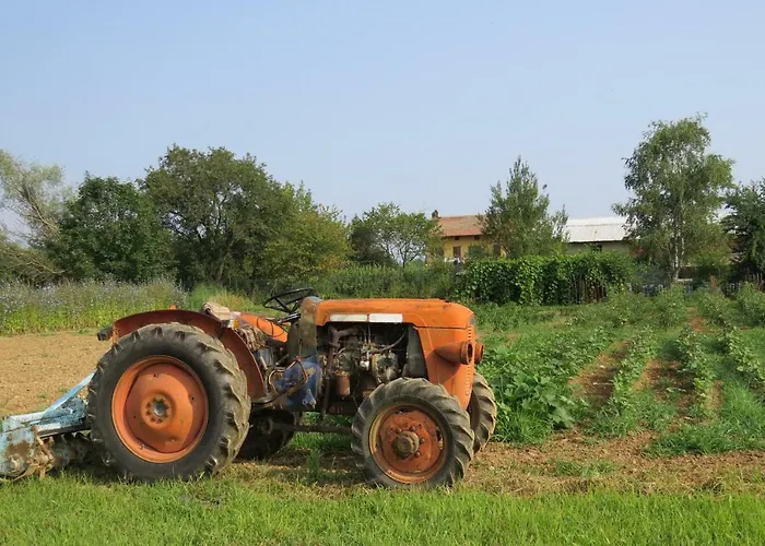 Alojamento de Turismo Rural Fattoria Delle Rose