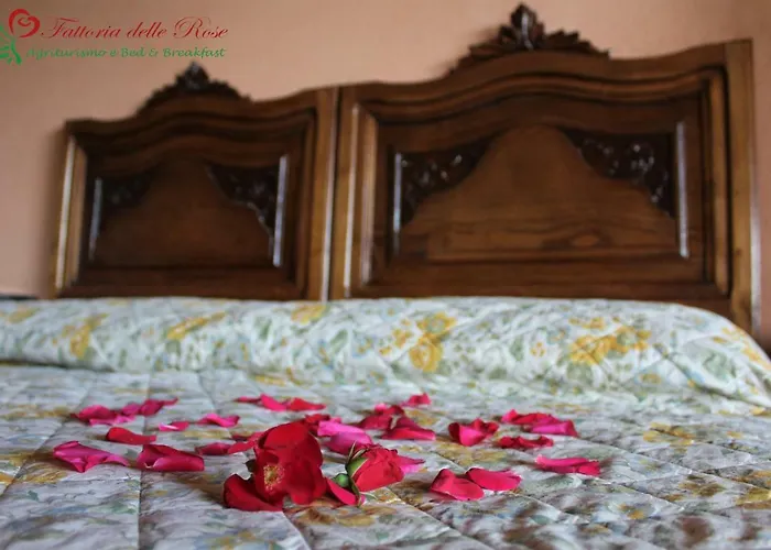 Çiftlik konaklama Fattoria Delle Rose *