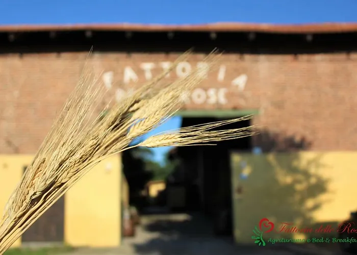 Fattoria Delle Rose Salussola