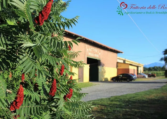 Fattoria Delle Rose *