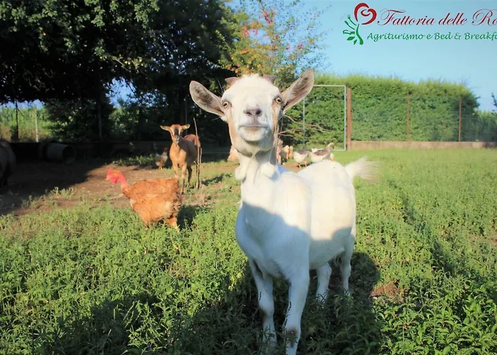 Fattoria Delle Rose Çiftlik konaklama Salussola